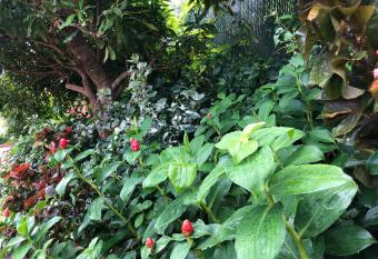 Vacation Suites allows 18 year olds to book a room