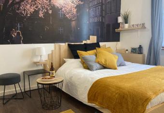 * Le Garden * Studio * Centre-ville Mulhouse allows 18 year olds to book a room