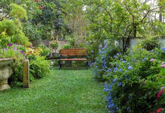 Idor Holidays has Balcony rooms