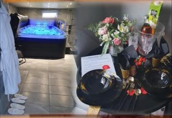 APARTMENT WITH PRIVATE HOT TUB, SAUNA, ICE BATH, GYM allows 18 year olds to book a room