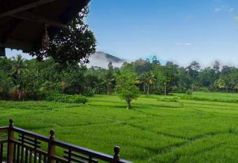 Rainforest Nest has Balcony rooms