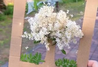 Chalet Bois face au golf allows 18 year olds to book a room