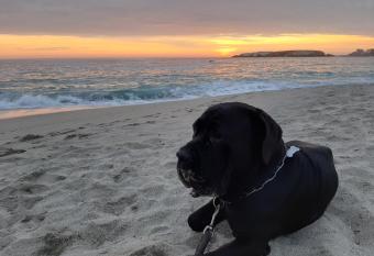 Kuky y Buby House Petfriendly allows 18 year olds to book a room