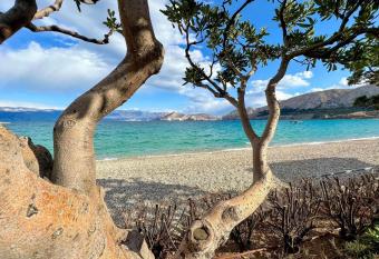 Art Suite Jurandvor has Balcony rooms