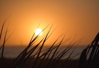 The Pineapple Beach House - Fisherman's Paradise has Balcony rooms