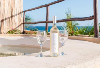 Luxury Oceanfront Condo with private Roof Top BBQ has Balcony rooms