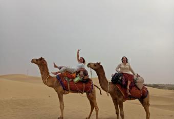 Hotel Dream Heritage has Balcony rooms