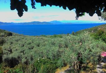 Studio south Pilion has Balcony rooms