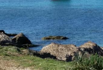 MAISON DANS LE CAP CORSE allows 18 year olds to book a room