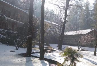 Tall Trees Resort allows 18 year olds to book a room