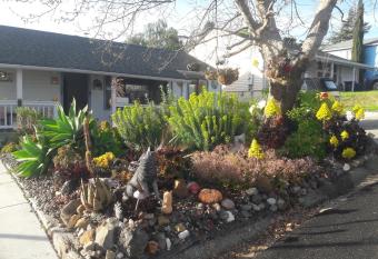 Cozy, Quiet Home in Family-Friendly Neighborhood! allows 18 year olds to book a room