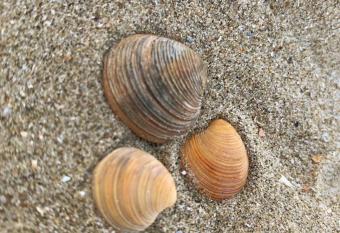 Ciel107 allows 18 year olds to book a room