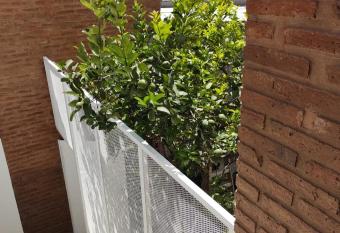 Mi Limonero allows 18 year olds to book a room