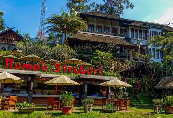 Rumah Stroberi Organic Farm & Family Lodge has Balcony rooms