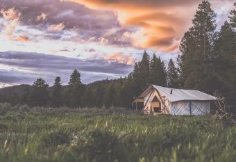 Tammah - Yellowstone has Balcony rooms