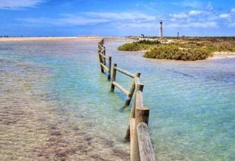 Estrella de mar allows 18 year olds to book a room