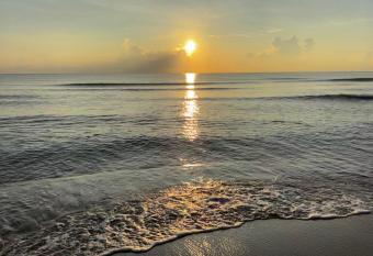 Willow Beach House has Balcony rooms