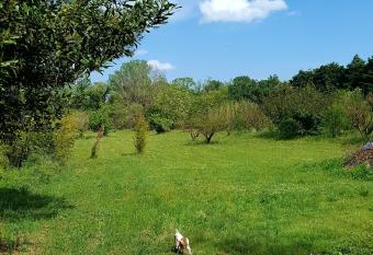 Pont du Gard has Balcony rooms
