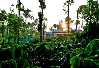 Coffee Crown Homestay - Whole Place has Balcony rooms