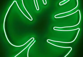 THE LEAF HOUSE allows 18 year olds to book a room