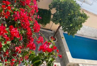 Casa Palacio   nima allows 18 year olds to book a room