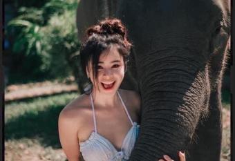 3 Pok Maewang jinxiang Gold elephant park has Balcony rooms