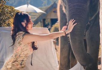 3 Pok Maewang jinxiang Gold elephant park has Balcony rooms