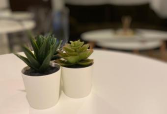 SOLOMOU INN BOUTIQUE ROOMS has Balcony rooms