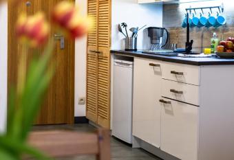 ENERGYLANDIA Zator Apartament 69 has Balcony rooms