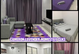 Cameron Lavender Homestay 3 has Balcony rooms