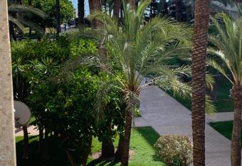 Encantador Apartamento Torrevieja Playa allows 18 year olds to book a room