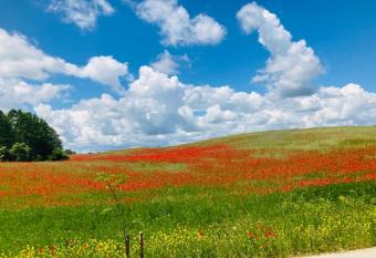 KALINOWY SAD DOMKI z JACUZZI i SAUN   has rooms with a private hot tub