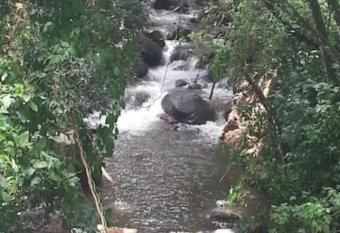 Coffee Garden Ranch Costa Rica has Balcony rooms