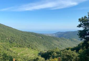 Starsbox Tend   has Balcony rooms