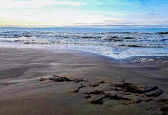 Centrally Located Beachfront Condo with Ocean View has Balcony rooms