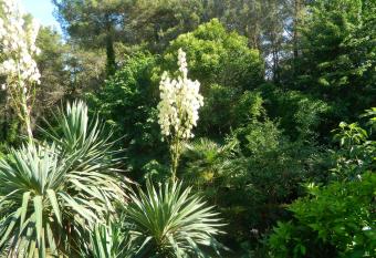 Apartments vila Vanda has Balcony rooms