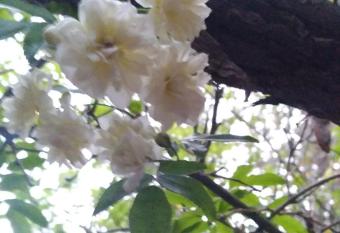 Katie's Cozy Suites allows 18 year olds to book a room