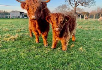 Orchard House Lodges by Ecohuman allows 18 year olds to book a room