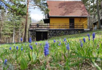 Planinska ku  a   udesni bor has Balcony rooms