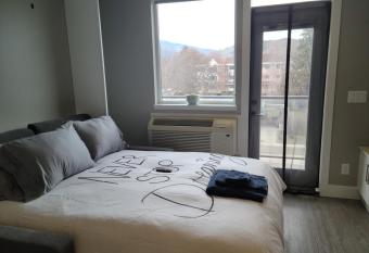 Cozy Studio Suite, 15min walk to downtown allows 18 year olds to book a room