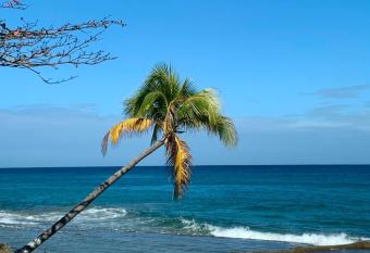 Atlantic Wave Villa has Balcony rooms