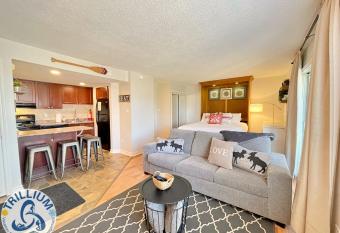 Modern Mountainside Ski In/Ski Out Studio at Blue has Balcony rooms