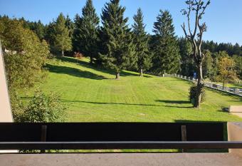 Apartment mit 2 Zimmer im Bayerischen Wald has Balcony rooms