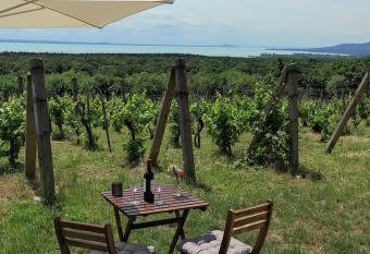 Naprasz  ll  s Vend  gh  z allows 18 year olds to book a room