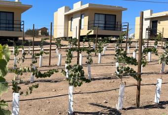 Sol del Valle allows 18 year olds to book a room