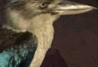 Classic Queenslander Suite allows 18 year olds to book a room