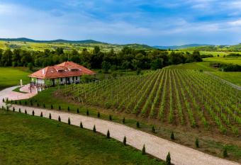Pensiunea Sonnenhof has Balcony rooms