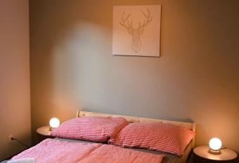 Mayers Swiss House, private home for 2-6 guests has Balcony rooms