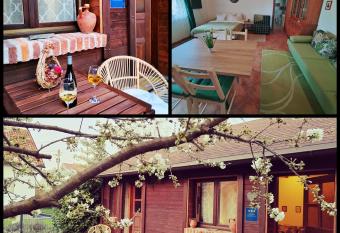 Studio apartman Buteo has Balcony rooms