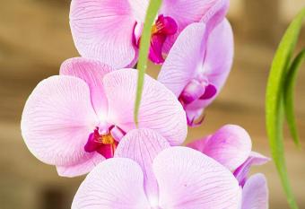 Arnott s Lodge & Hiking Adventures allows 18 year olds to book a room